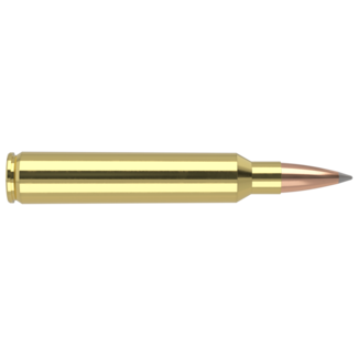Nosler Nosler Trophy Grade 300 RUM 210 Grain ABLR 20rds