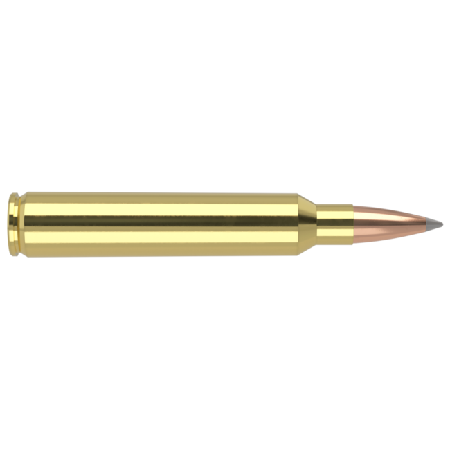Nosler Trophy Grade 300 RUM 210 Grain ABLR 20rds