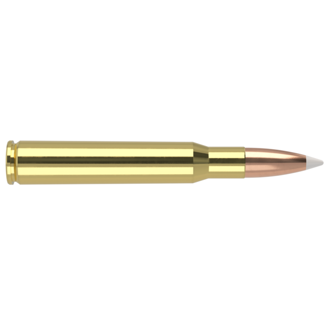Nosler Trophy Grade Ammo 30-06 Springfield 165gr AccuBond 20rd