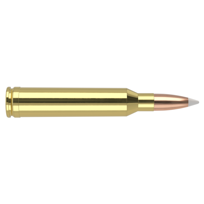 Nosler Trophy Grade Ammo 7mm Rem Mag 160gr AccuBond 20rd