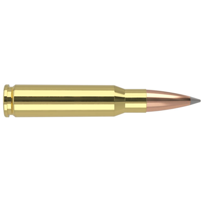Nosler Trophy Grade Ammo 308 Win 168 Grain Accubond Long Range 20rds