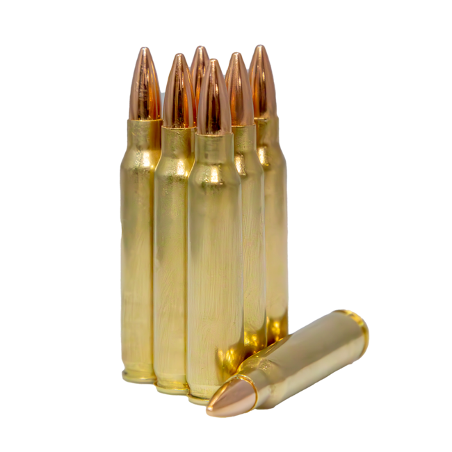 406 Amunition 223 55gr FMJ 20rds