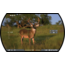 Ten Point Vision Rangefinding Scope