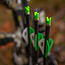 Ten Point ACU-X Arrows 20" 6PK .001"