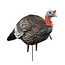 Higdon Hard Body Turkey Decoy