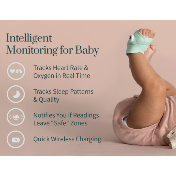 Owlet Owlet: Dream Sock & Cam Duo