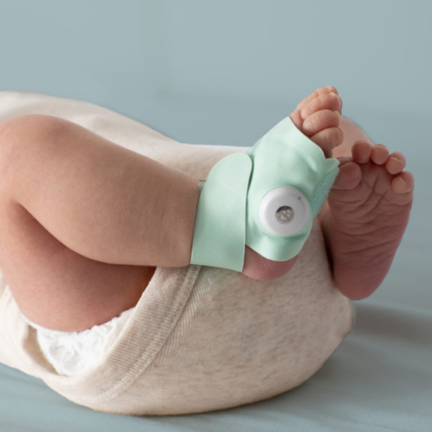Owlet Owlet: Dream Sock & Cam Duo