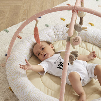 Wonder & Wise Nest Baby Activity Gym