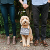 Pearhead Pet's Baby Announcement