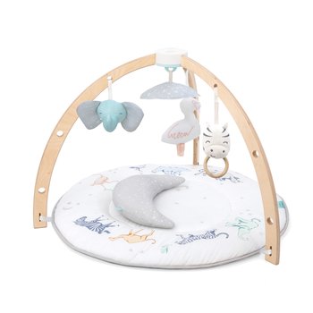 A+A: Rising Star Play + Discover Activity Gym