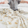 Copper Pearl CP Blanket Single: Chip