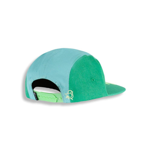 Birdz Birdz: Sunset Retro Cap - Aqua/Green