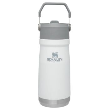 Stanley Stanley: Straw Water Bottle 17oz -