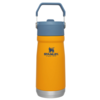 Stanley Stanley: Straw Water Bottle 17oz -