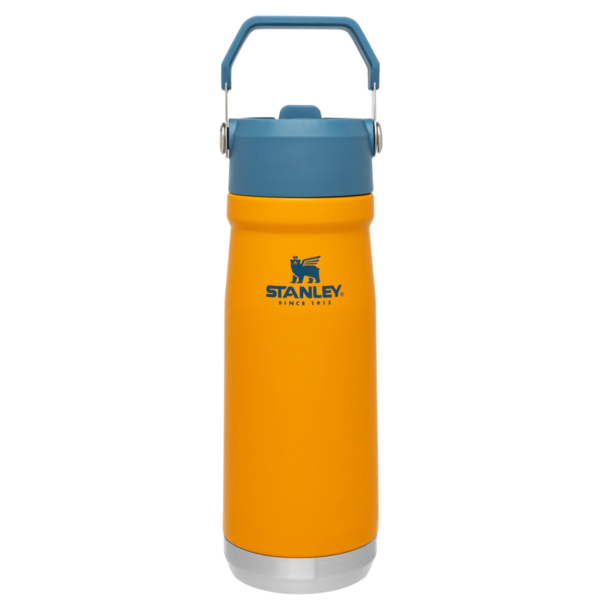 Stanley Stanley: Straw Water Bottle 22oz -