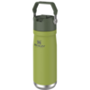 Stanley Stanley: Straw Water Bottle 22oz -