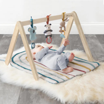 Itzy Ritzy Ritzy Wooden Activity Gym with Toys