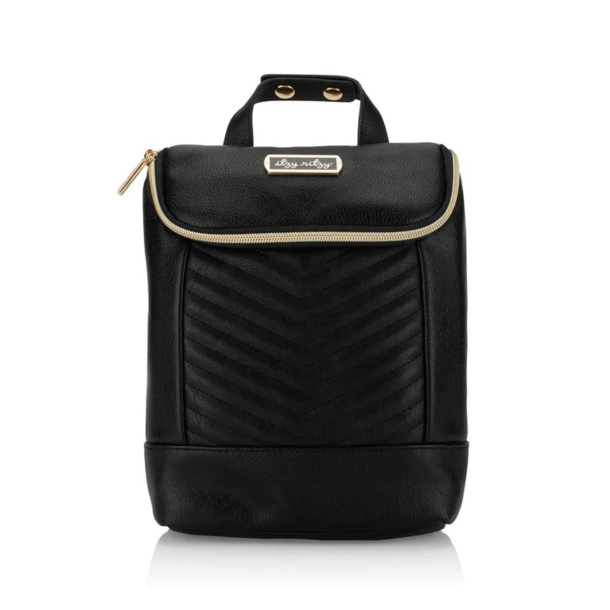 Itzy Ritzy Itzy Ritzy: Insulated Bottle Bag - Jetsetter Chill Like A Boss