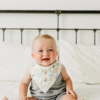Copper Pearl Copper Pearl: Bandana Bib 4pk - Rex
