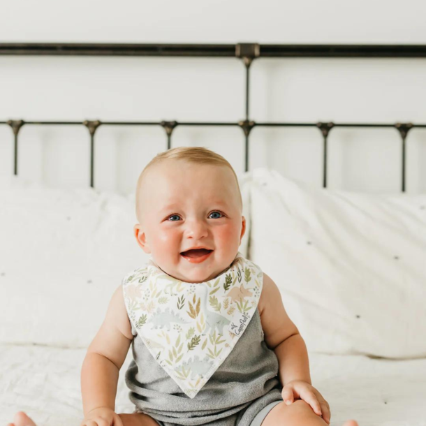 Copper Pearl Copper Pearl: Bandana Bib 4pk - Rex