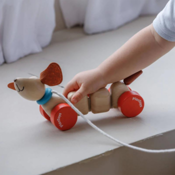Plan Toys Plan Toys: Happy Puppy (Pull Toy)