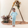 Kyte Clothing Kyte: Toddler Long-Sleeve PJ Set - Coastline