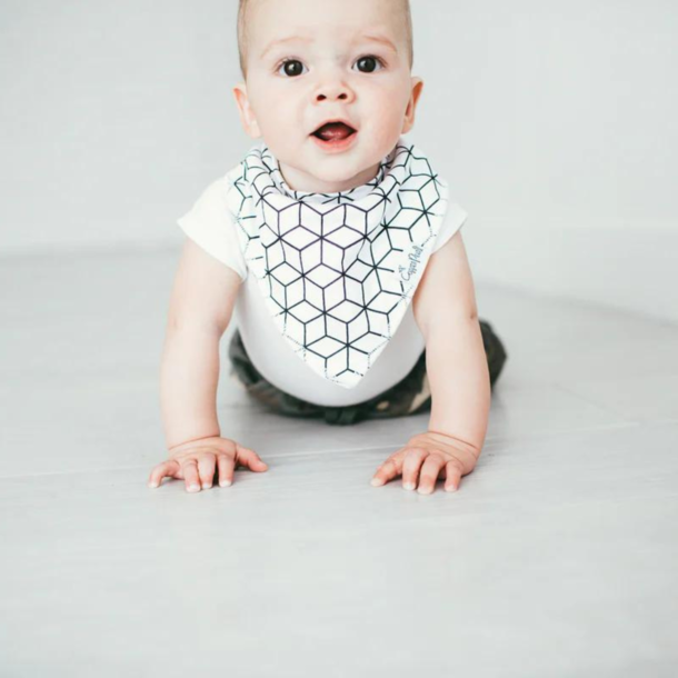 Copper Pearl Copper Pearl: Bandana Bib 4pk - Wild Baby