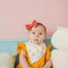Copper Pearl Copper Pearl: Bandana Bib 4pk - Cheery