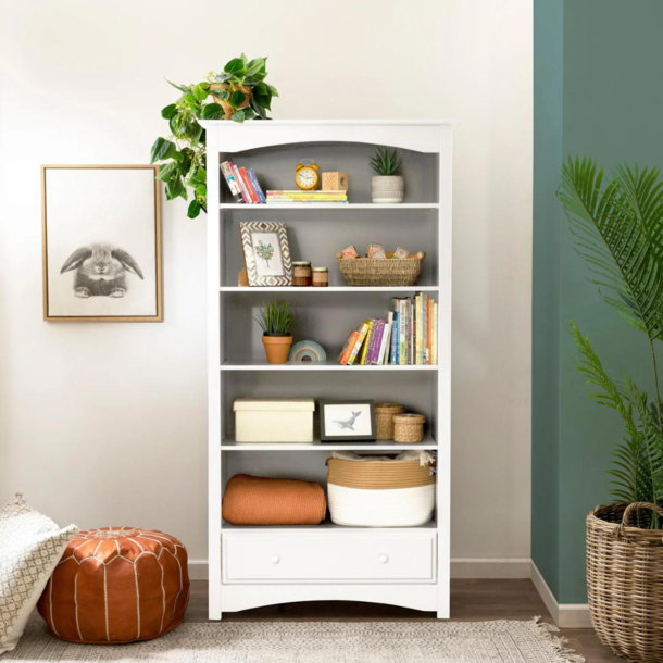 Million Dollar Baby MDB: Bookcase-