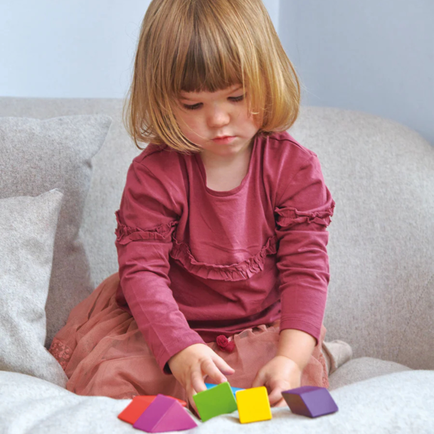 Tender Leaf Toys (Faire) Tender Leaf Toys: Designer Magblocs