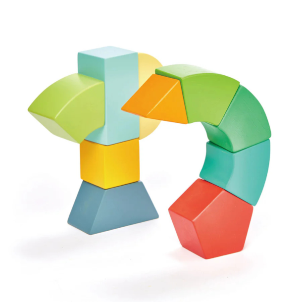 Tender Leaf Toys (Faire) Tender Leaf Toys: Primary Magblocs