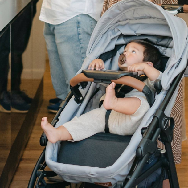 Larktale Larktale: crossover™ V2 convertible stroller/wagon -
