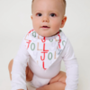 Copper Pearl Copper Pearl: Bandana Bib 4pk - Jolly