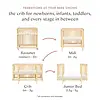 Million Dollar Baby MDB: Pogo 8 in 1 Convertible Crib with All Stages Crib -