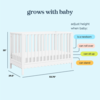 Million Dollar Baby MDB: Sammy Scallop  4-in-1 Convertible Crib-