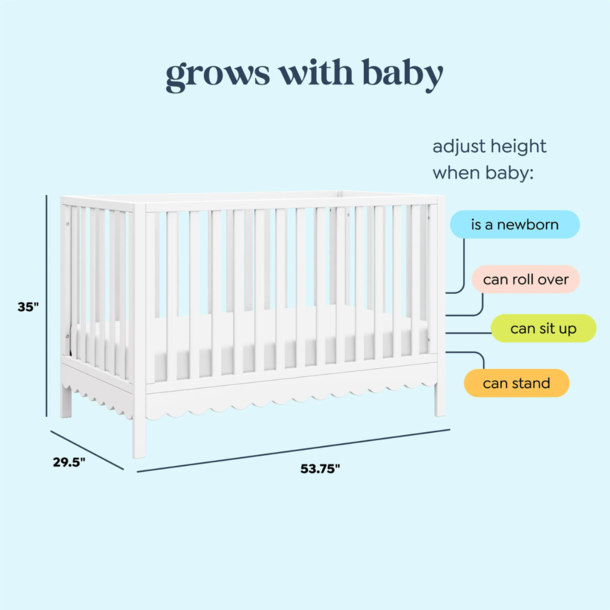Million Dollar Baby MDB: Sammy Scallop  4-in-1 Convertible Crib-
