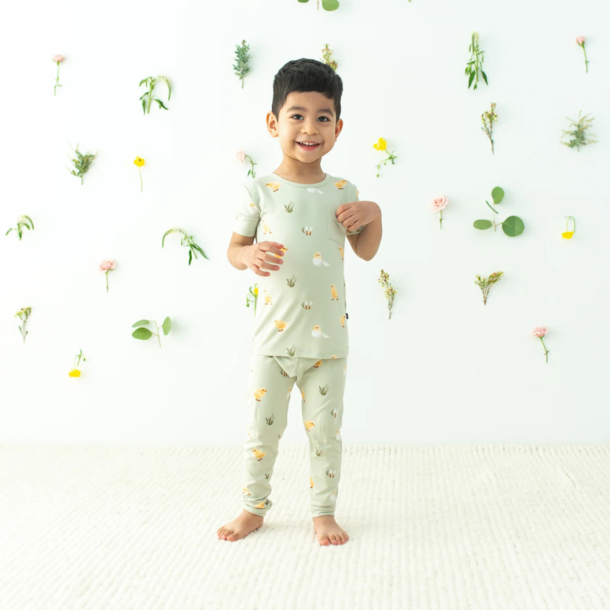 Kyte Clothing Kyte: Toddler SS w/Pants PJ Set - Aloe Chick