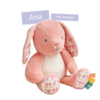 Itzy Ritzy Itzy Ritzy: Plush Bunny - Pink