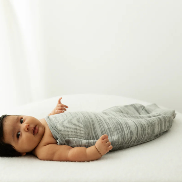 Swaddelini Swaddelini: Grey Swaddle -
