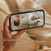 Owlet Owlet: Dream Sight Cam