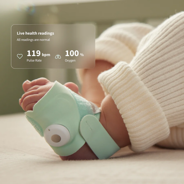 Owlet Owlet: Dream Sight Duo