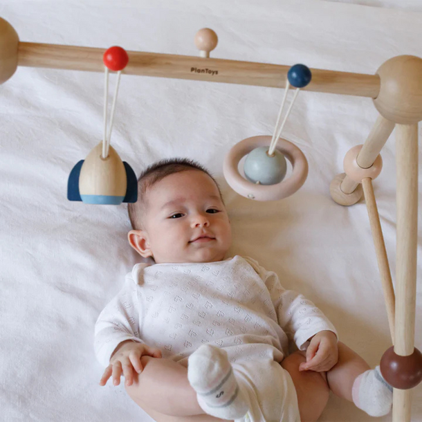 Plan Toys Plan Toys: Wooden Play Gym -