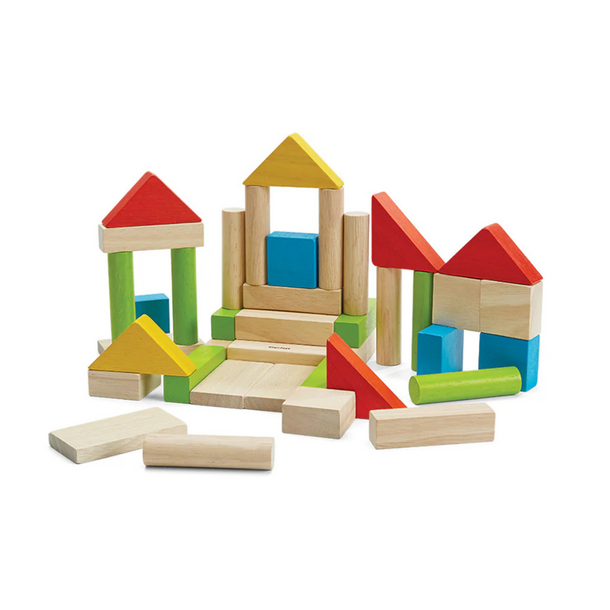 Plan Toys Plan Toys: 40ct Blocks