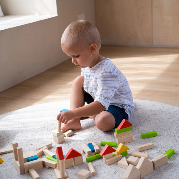 Plan Toys Plan Toys: 40ct Blocks