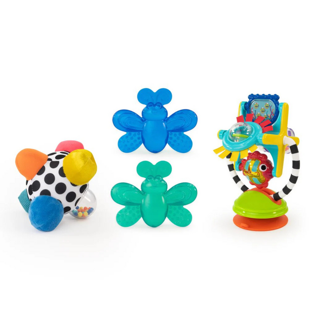 Sassy Sassy: Discover & Play Box Set