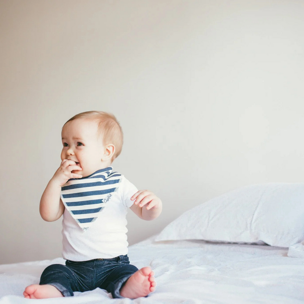 Copper Pearl Copper Pearl: Bandana Bib 4pk - Alpine