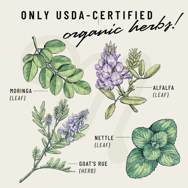 Legendairy Milk Legendairy Milk: Cash Cow (180ct)