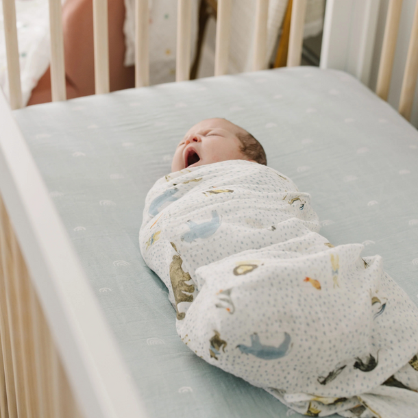 Little Unicorn Little Unicorn: Cotton Muslin Swaddle Set - Party Animals