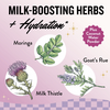 Legendairy Milk Legendairy Milk: She's Flowing Lactation Drink Mix