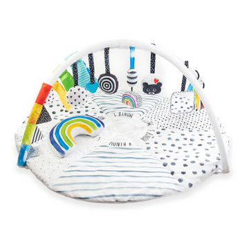 Sassy Sassy: Tummy Time Milestone Activity Gym